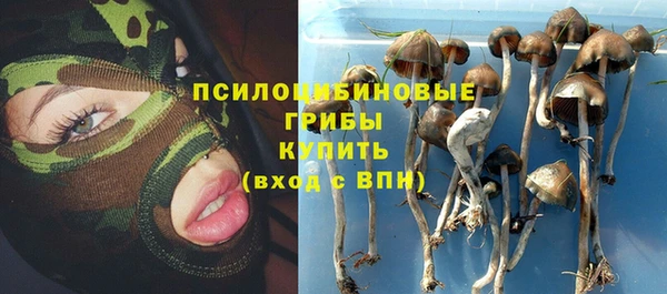 ГАЛЛЮЦИНОГЕННЫЕ ГРИБЫ Белокуриха