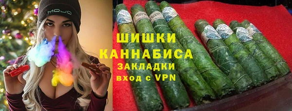 ГАЛЛЮЦИНОГЕННЫЕ ГРИБЫ Белокуриха