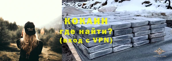 mix Богородицк