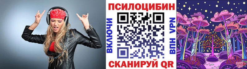 Псилоцибиновые грибы Cubensis  Буйнакск 
